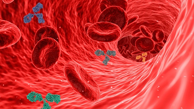 Ученые выяснили, носители какой группы крови чаще болеют ОРВИ