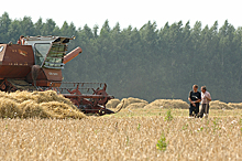 В Госдуме предлагают поддержать строительство социально значимых сельхозобъектов