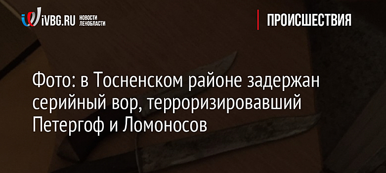 Фото: в Тосненском районе задержан серийный вор, терроризировавший Петергоф и Ломоносов