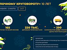 РЭО представил карту с пунктами приёма елей в рамках акции «Ёлочный круговорот»