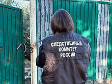 В Сорочинске задержана банда малолетних грабителей, напавшая на местных жителей