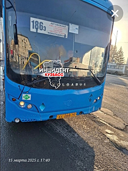 Соцсети: водитель кемеровского автобуса выгнал инвалида с костылем