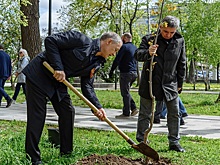 В Рязани депутаты облдумы высадили аллею в честь юбилея регионального парламента