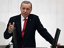 Эрдоган призвал президента Израиля к здравому смыслу