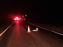 В Кирово-Чепецком районе мужчина на «Дэу Нексии» насмерть сбил женщину