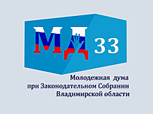 Новый состав Молодёжной думы