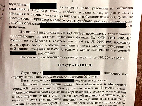 В Москве суд отправил пенсионерку в СИЗО из-за штрафа за оскорбление чиновника