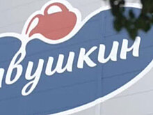 Россельхознадзор запретил ввоз продукции «Савушкина продукта»