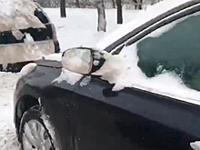 Перестарался: снегоуборщик «убрал» зеркала у машин в Петербурге