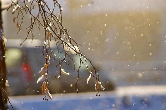 В понедельник в Челябинской области – понижение температуры, ливни, мокрый снег