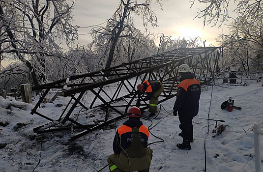 350 гектаров просек под ЛЭП расчистили на Русском лесорубы