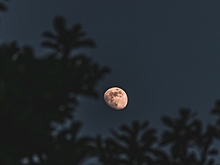 Весной волгоградцы смогут наблюдать звездопады и Кровавую Луну