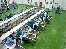 Работодатели стали маркировать персонал для оценки его работы