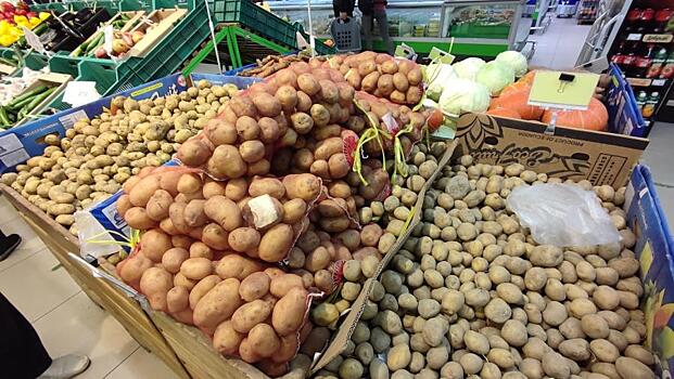 В России выросли цены на популярные овощи