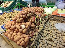 В России выросли цены на популярные овощи