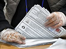 В Москве опубликуют все материалы по электронному голосованию