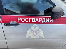Росгвардия усилит меры безопасности в Курской области на майские праздники