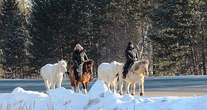 В центре Якутска появится памятник лошадям