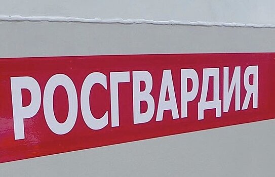 В Подмосковье задержан скрывшийся с места ДТП водитель