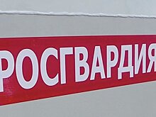 В Подмосковье задержан скрывшийся с места ДТП водитель
