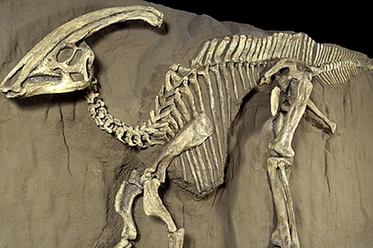 У динозавров нашли загадочную форму рака