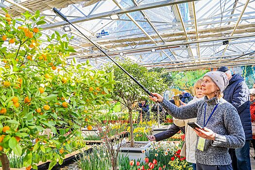 Ко Дню российской науки сервис Russpass разработал три оригинальных маршрута по Москве