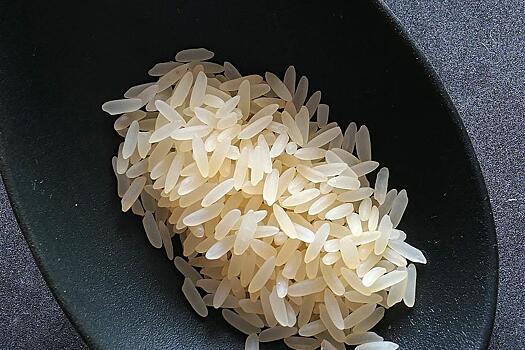 Аграрии Приморья посеяли более 13 тысяч гектаров риса