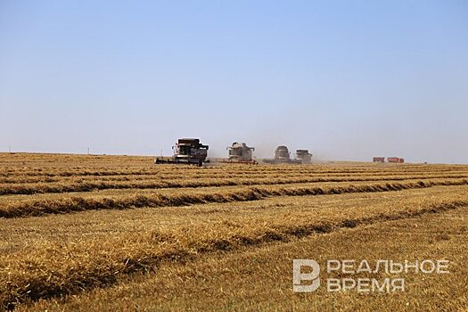 Татарстан отгрузил более 9 тыс. тонн зерновых культур Вьетнаму и Ирану