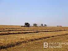 Татарстан отгрузил более 9 тыс. тонн зерновых культур Вьетнаму и Ирану