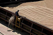 Forbes: эксперты назвали удивительной идею правительства запретить экспорт зерна