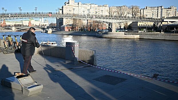 Раскрыта личность владельца упавшего в Москва-реку авто