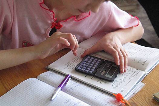 В Госдуме предложили отменить бесплатное обучение для мигрантов в России