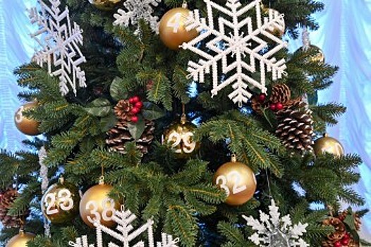 В Калужской области чиновники исполнят новогодние желания детей
