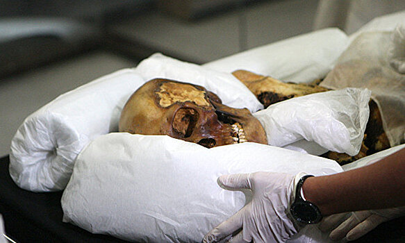 Ученые изучат две найденные на Ямале мумии