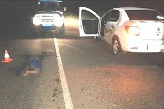 Водитель иномарки насмерть сбил пешехода на дороге Башкирии