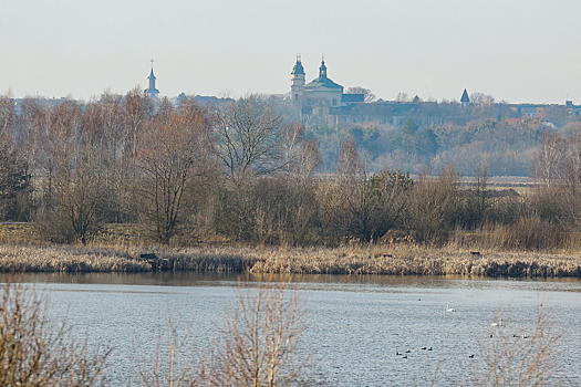 Поляки массово ищут недвижимость за границей после инцидента с дронами