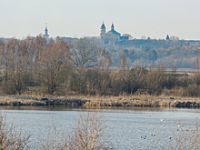 Поляки массово ищут недвижимость за границей после инцидента с дронами