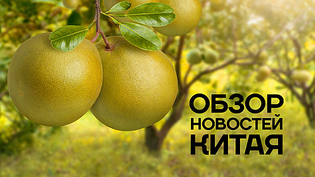 Обзор новостей Китая. Продажи помело