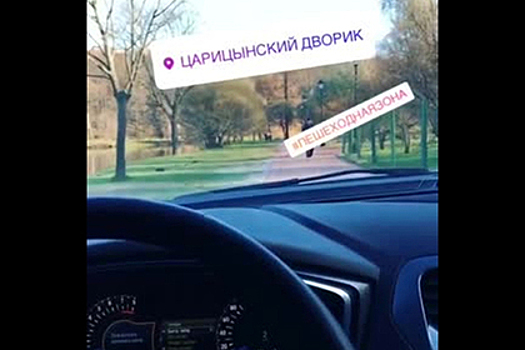 «Богатые русские дети» из лени прокатились на машине по Царицынскому парку