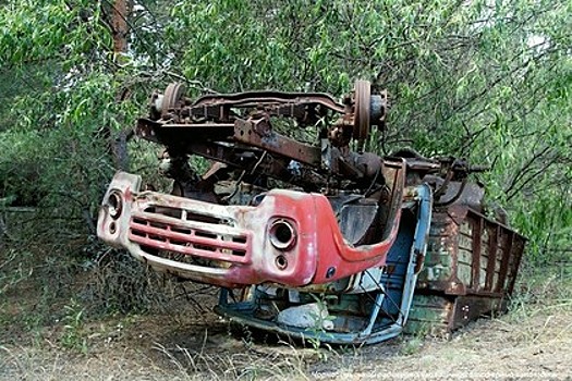 В Чернобыльской зоне сделали опасную находку