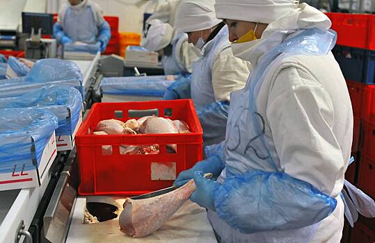 Россия захватила рынок импортной индейки одной из&nbsp;стран БРИКС