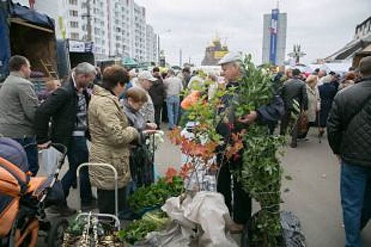 Автобусы поедут по-другому?