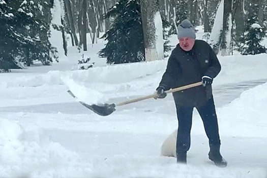 Президент Беларуси лично взялся за расчистку снежных сугробов