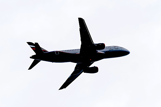 Летевший в Челябинск самолет экстренно вернулся в Москву