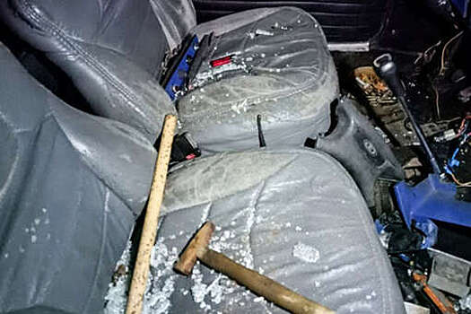 БелТА: в Могилеве вычислили гаражного вора по ДНК и запаховому следу