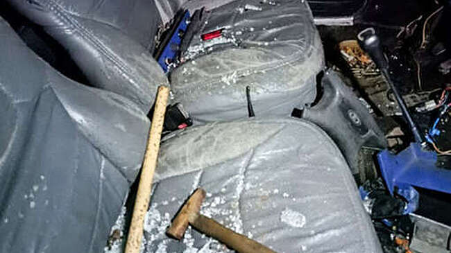 БелТА: в Могилеве вычислили гаражного вора по ДНК и запаховому следу