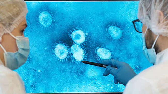 Вирусолог Нетесов: вирус Нипах не передается воздушно-капельным путем