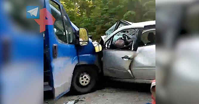 Боксер выжил при ДТП с двумя погибшими под Петербургом