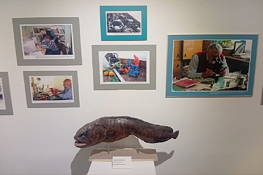 Во Владивостоке открылась фотовыставка, посвященная уникальному институту