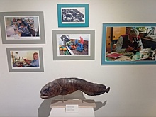 Во Владивостоке открылась фотовыставка, посвященная уникальному институту